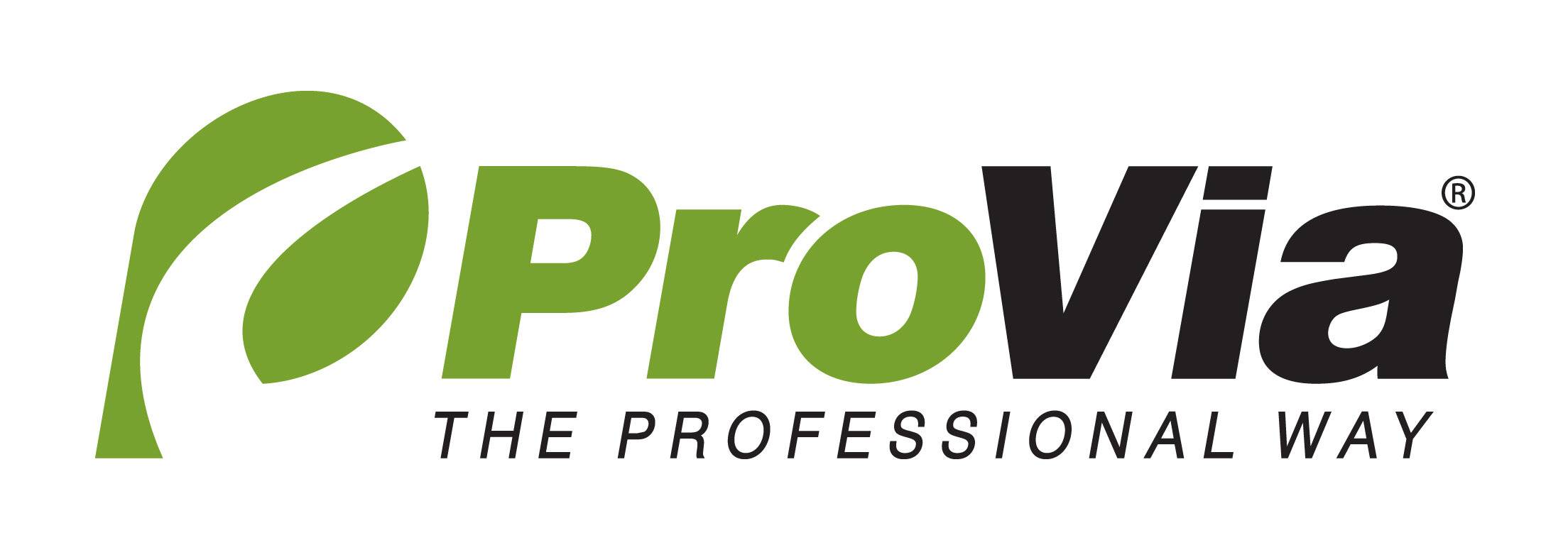 riley roof & exteriors